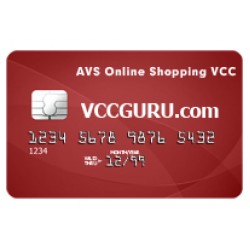 $5 AVS VISA Card